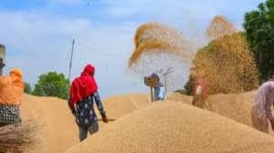 खरीदी खत्म, सवा 2 लाख किसानों ने नहीं बेचा धान, तारीख बढ़ाने की मांग…