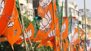 छत्तीसगढ़ नगर निकाय चुनाव में छाया BJP का जलवा! बलरामपुर में मनाई जीत की खुशी