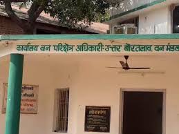 वन विभाग में फर्जी भुगतान का खुलासा