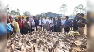 बिलासपुर में डेढ़ करोड़ का धान घोटाला, 770 बोरियों में भर दी मिट्टी-भूसी, अब प्रबंधक व ऑपरेट के खिलाफ कसा शिकंजा