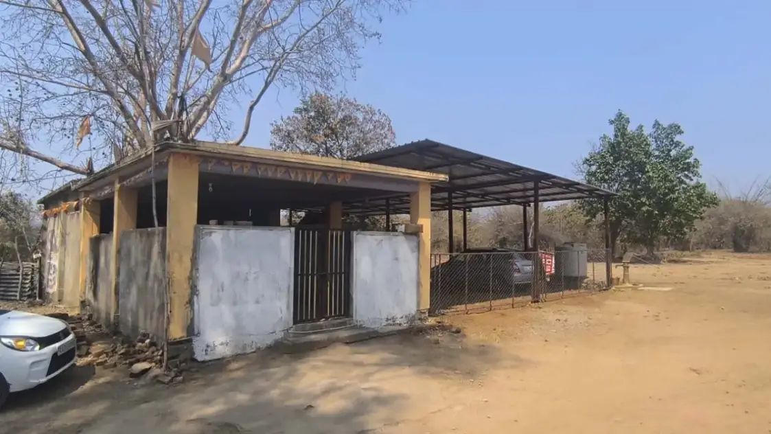 रिजर्व फारेस्ट की जमीन पर कब्जा : जंगल खेत में तब्दील, कब्जाधारियों ने मंदिर को भी नहीं छोड़ा