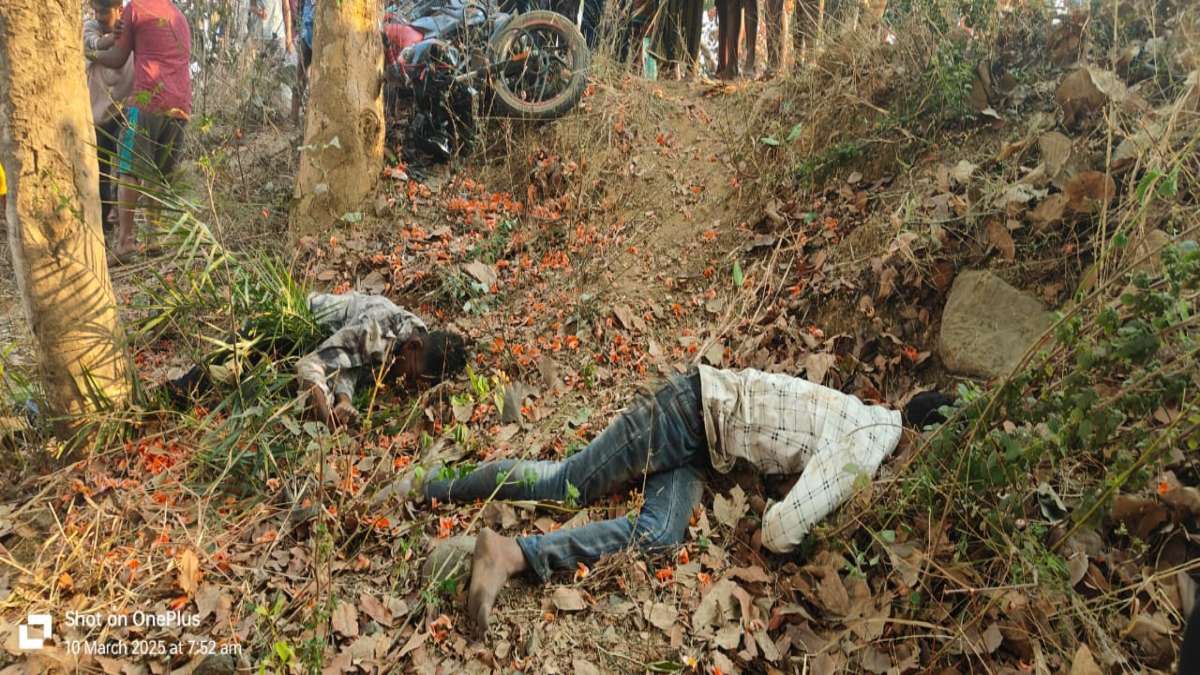 रफ्तार का कहर! बाइक पेड़ से टकराई, दो युवकों की मौत, एक गंभीर