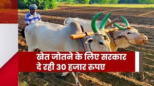 खेत जोतने के लिए सरकार दे रही 30 हजार रुपए, अगर ट्रैक्टर नहीं है तो आपके लिए है ये सब्सिडी योजना