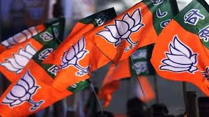 छत्तीसगढ़ में कांग्रेस का सूपड़ा साफ, 27 जिला पंचायत और 116 जनपदों में BJP का कब्जा, देखें सूची