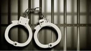 छत्तीसगढ़ पुलिस ने महादेव ऐप के जरिए आईपीएल सट्टेबाजी के आरोप में 14 लोगों को किया गिरफ्तार