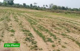 लामीदरहा मामले को उलझाने की तैयारी, पटवारी प्रतिवेदन वापस