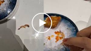 रेस्टोरेंट के वेज खाने में मिली नॉनवेज हड्डी