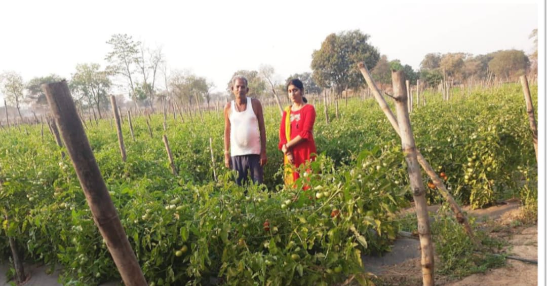 सोमप्रसाद के जीवन में उद्यानिकी खेती से आया बदलाव