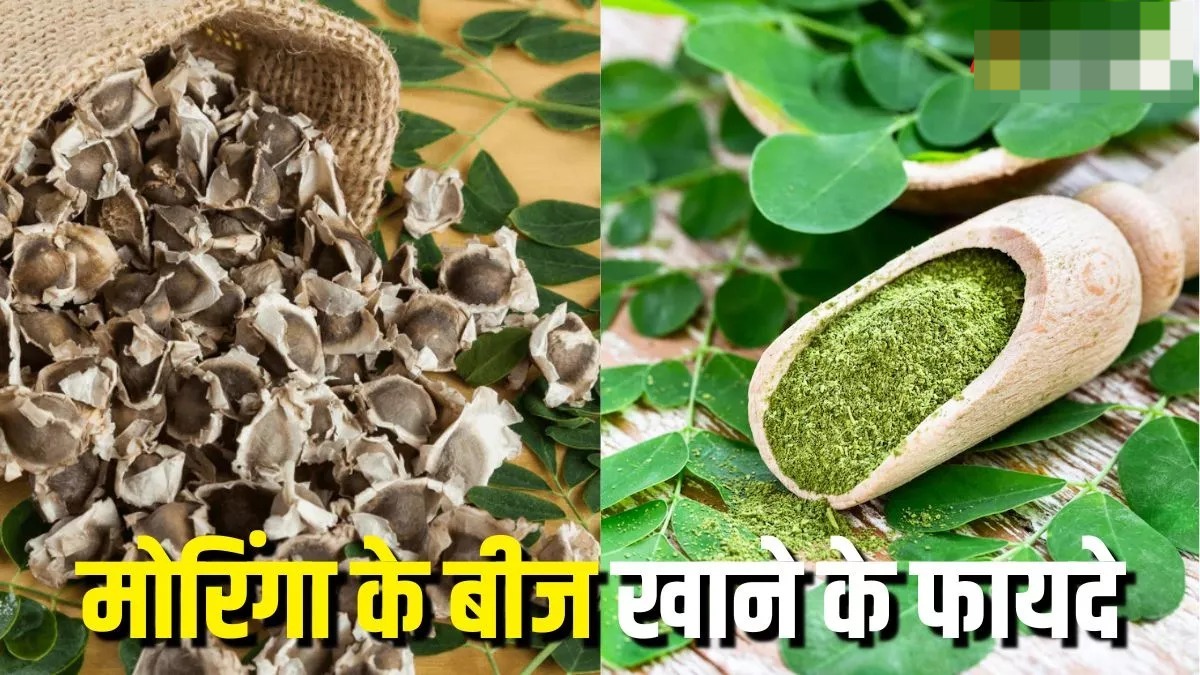 डायबिटीज कंट्रोल करने से लेकर जोड़ों के दर्द से आराम दिलाने तक, मोरिंगा के बीज खाने से मिलेंगे 6 फायदे