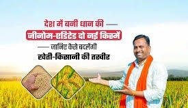 देश में बनी धान की जीनोम-एडिटेड दो नई किस्में, जानिए कैसे बदलेंगी खेती-किसानी की तस्वीर