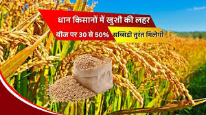 धान बीज पर किसानों को मिलेगी 30 से 50% तक सब्सिडी, खतौनी और आधार की लगानी होगी फोटो कॉपी