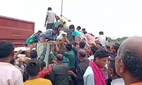 मुर्गियों से भरा वाहन पलटा: ड्राइविंग सीट पर फंसे चालक को बचाना छोड़ लोग मुर्गियां लूटकर भगने लगे