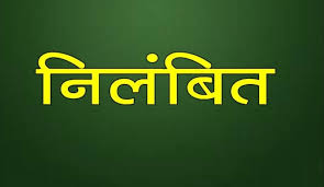 पटवारी रेवती रमन सिंह निलंबित, शासकीय भूमि के फर्जी विक्रय में लिप्त पाए गए