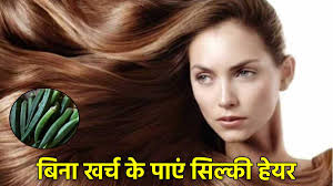 सिल्की और हाइड्रेटिंग बाल चाहिए झटपट बनाएं भिंडी का हेयर मास्क, घर बैठे पाएं सैलून जैसा लुक