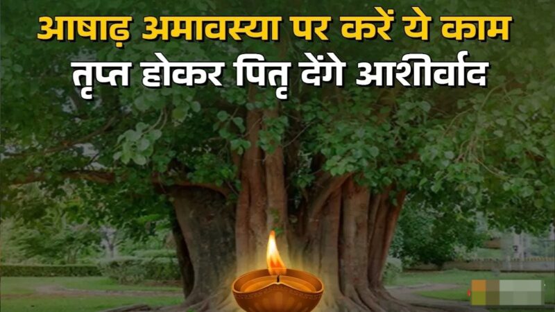 पितृ दोष से हो रहे हैं परेशान, आषाढ़ अमावस्या पर ऐसे करें पूजा