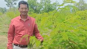 लाख की खेती से मिलन सिंह विश्वकर्मा को मिली बड़ी पहचान, सालाना कमा रहे हैं भारी मुनाफा!