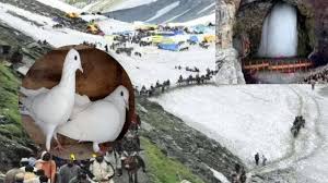 Amarnath Yatra 2025: हर किसी को नहीं दिखता अमर पक्षी, जिस पर कृपा होती है वही देख पाता है कबूतर का जोड़ा