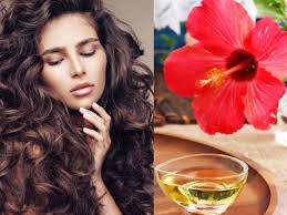मानसून आते ही झड़ने शुरू हो गए हैं बाल, तो गुड़हल के फूल से बनाएं खास तेल