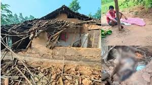 हाथियों का उत्पात जारी: 2 दिन में ली तीन की जान, 8 मकानों को पहुंचाया नुकसान
