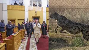 PM मोदी…नामीबिया और चीता की क्या है दिलचस्प कहानी, जानें इस अफ्रीकी देश का भारत से खास नाता