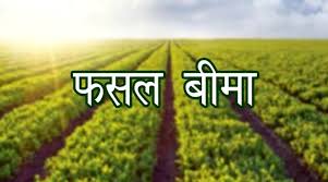 कृषक अधिसूचित फसलों की बीमा अवश्य करायें