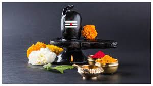 हर फूल का अलग है महत्व, जानिए शिवलिंग पर किस मनोकामना के लिए क्या चढ़ाएं
