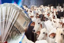 गाय पालनी है तो इन्हें पालिये, भैंस से ज्यादा दूध, खेती से ज्यादा कमाई, खर्चा उठाएगी सरकार