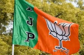 गरियाबंद जिला भाजपा कार्यकारिणी गठित