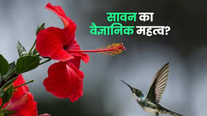 सिर्फ आस्था नहीं, विज्ञान के लिहाज से भी बेहद खास है सावन का महीना! जानें कैसे