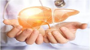 तेल या घी: लिवर को हेल्दी रखने के लिए क्या है ज्यादा सही? डॉक्टर ने दूर किया कन्फ्यूजन