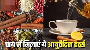 मानसून में अपनी चाय में मिलाएं ये 5 आयुर्वेदिक हर्ब्स, पूरे मौसम सेहत बनी रहेगी चुस्त और तंदुरुस्त
