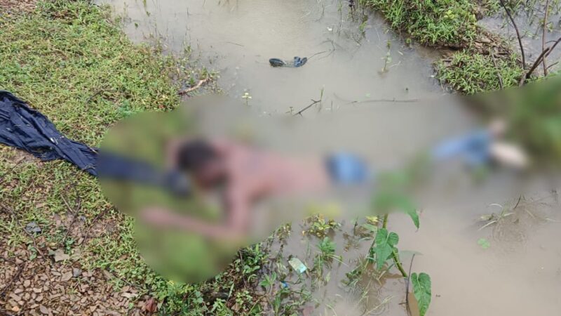 चौकी नैला क्षेत्रांतर्गत ग्राम सिवनी बोड़सरा के बीच इंदिरा आवास मोहल्ला खेत तरफ एक युवक की शव मिलने की मामले में हत्या का मामला दर्ज