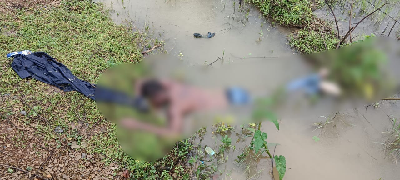 चौकी नैला क्षेत्रांतर्गत ग्राम सिवनी बोड़सरा के बीच इंदिरा आवास मोहल्ला खेत तरफ एक युवक की शव मिलने की मामले में हत्या का मामला दर्ज
