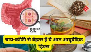 सुबह में चाय-कॉफी से बेहतर हैं ये आठ आयुर्वेदिक ड्रिंक्स, प्राकृतिक रूप से साफ होता है पेट और शरीर रहता है हाइड्रेट