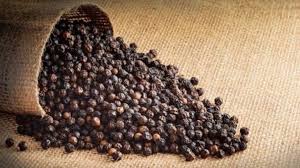 काली मिर्च की नई किस्म – अब अधिक उत्पादन के साथ हर जगह खेती संभव!