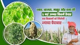 ज्वार, बाजरा, मसूर और चना की 5 नई उन्नत किस्में तैयार, अब किसानों को मिलेगी ज्यादा पैदावार