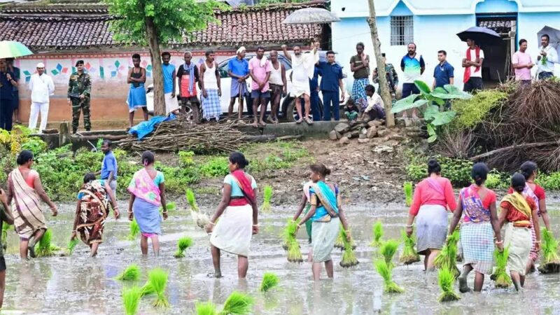 भारतीय कृषि: परंपरा से आधुनिकता की ओर एक यात्रा