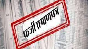 फर्जी प्रमाण पत्र से लड़ा सरपंच चुनाव, जीतने में भी कामयाब रही, अब लोगों ने कर दी SDM से शिकायत