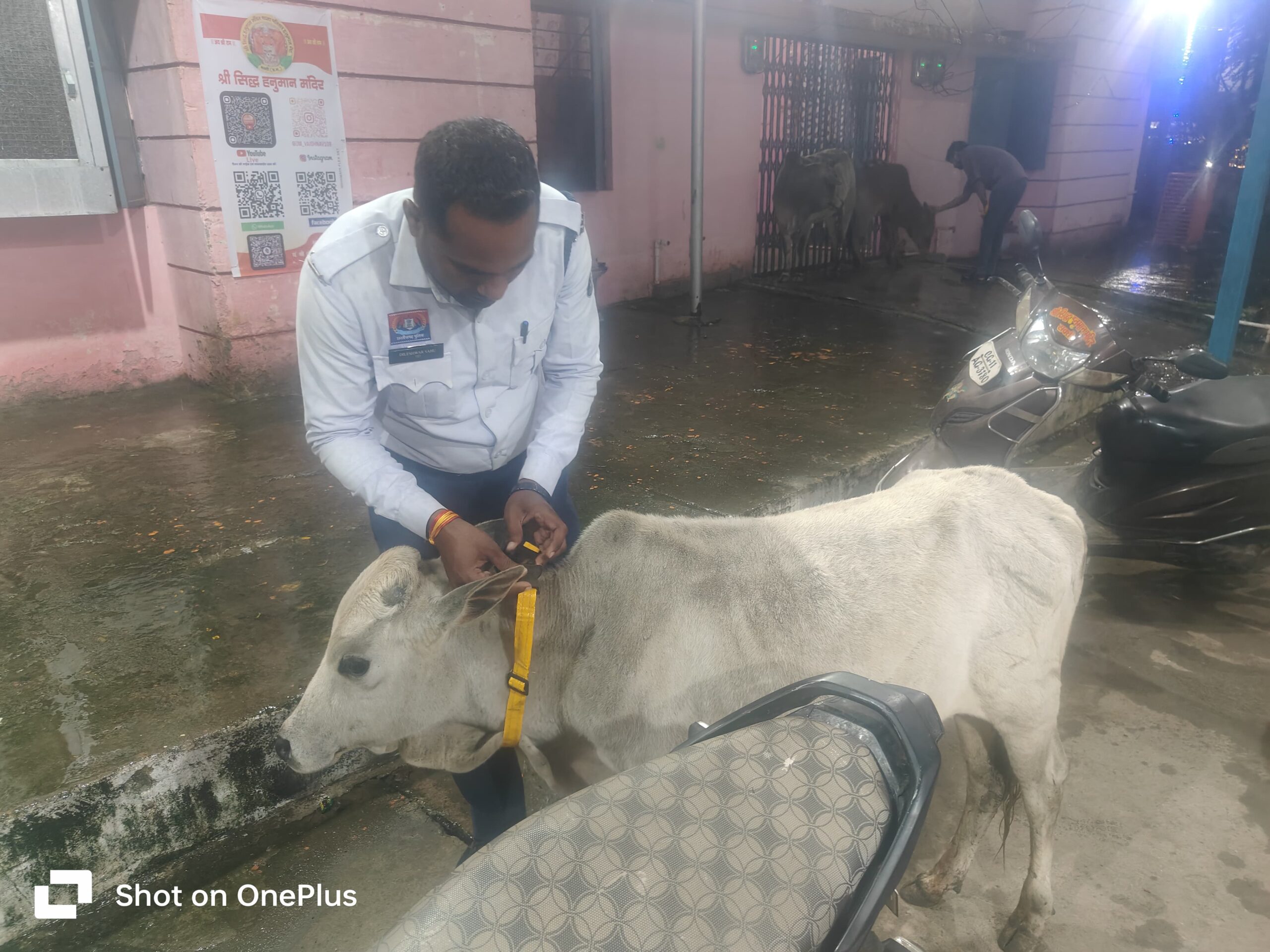 सड़क दुर्घटनाओं की रोकथाम हेतु सक्ती पुलिस व गौसेवा समिति की सराहनीय पहल