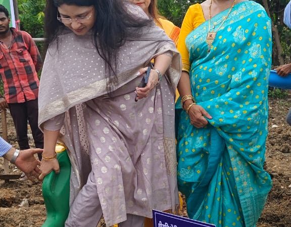 एक पेड़ माँ के नाम पर वृक्षारोपण हाउसिंग गृह निर्माण मंडल बिलासपुर में चेयरमैन ने किये