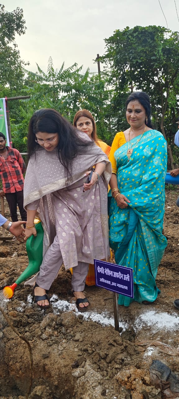 एक पेड़ माँ के नाम पर वृक्षारोपण हाउसिंग गृह निर्माण मंडल बिलासपुर में चेयरमैन ने किये