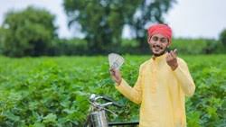 बरसात में उगाएं यह खास फसल, कम लागत कम लागत में होगी जबरदस्त कमाई, जानें कैसे