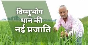 छत्तीसगढ़ के किसान ने विकसित की विष्णुभोग धान की नई प्रजाति, जानिए क्या है इसकी विशेषता