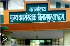 वन विभाग की ग्रीन क्रेडिट योजना में घोटाला उजागर, CCF ने प्रभारी रेंजर को किया निलंबित
