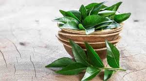 रोज सुबह खाली पेट चबाएं 8-10 कढ़ी पत्ते, सेहत को मिलेंगे 6 हैरान करने वाले फायदे