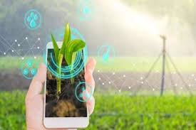 डिजिटल क्रॉप सर्वे एवं गिरदावरी के मोबाइल PV APP सत्यापन की समयसीमा बढ़ी