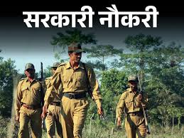 छत्तीसगढ़ वन विभाग में 1484 पदों पर फॉरेस्ट गार्ड भर्ती फिर से शुरू, 28 अक्टूबर से होगी परीक्षा