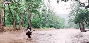 नदी की लहरों में समा सकता है यहां देश का भविष्य, हर दिन जान हथेली पर लेकर जाते हैं स्कूल
