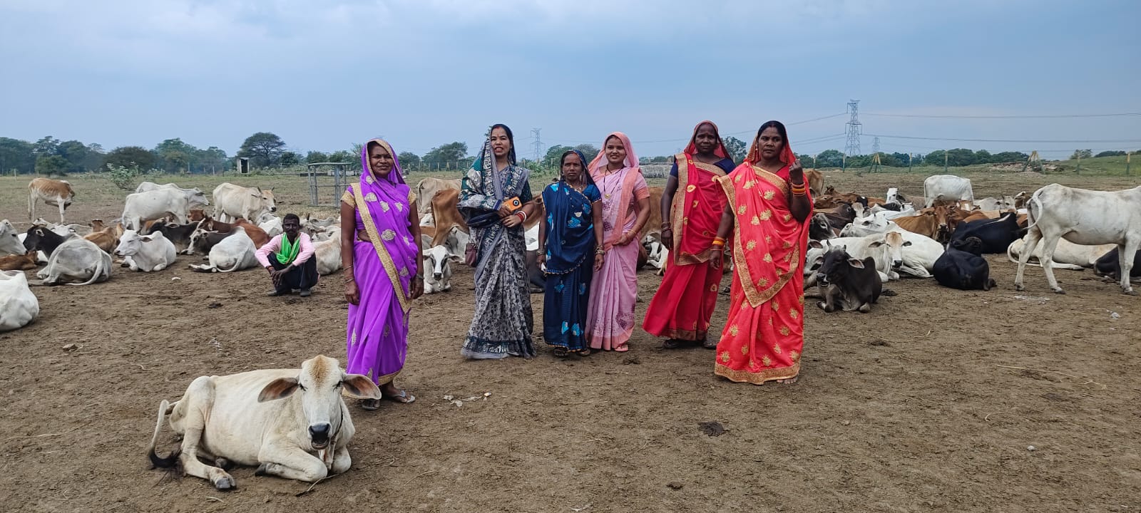 कोटेतरा में सड़कों पर भटक रही आवारा पशुओं को मिला सुरक्षित आश्रय