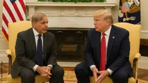 पाकिस्तान और अमेरिका में हुई बड़ी डील, US को सौंप देगा दुर्लभ खनिजों का भंडार; देश के अंदर ही होने लगा विरोध